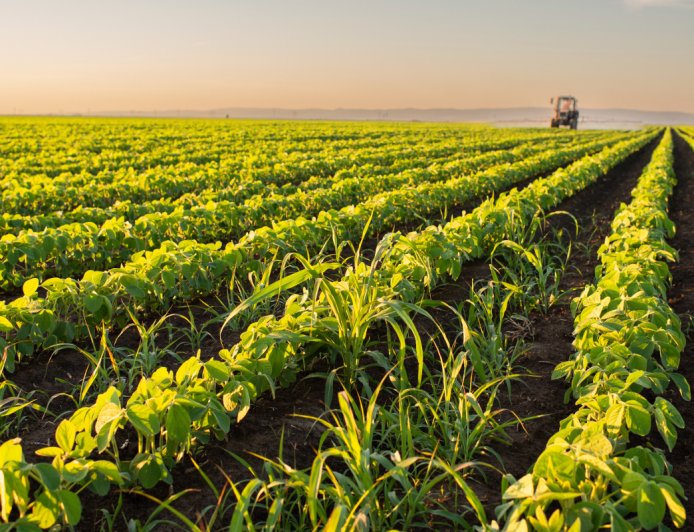 Boosting Agribusiness Through Integrated Land Banking: A Strategic Approach to Sustainable Growth