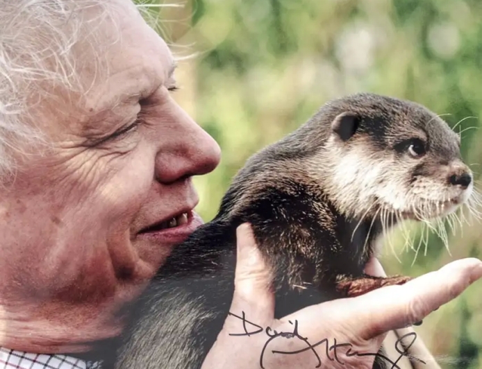 African Sustainability Concert and Property Express Group celebrate David Attenborough at 100